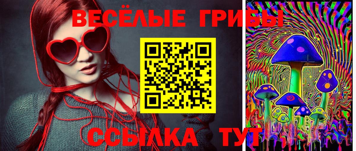Псилоцибиновые грибы Cubensis Десногорск