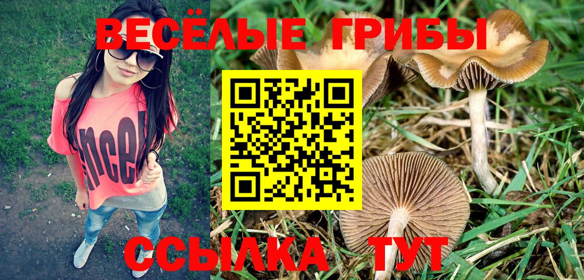 Десногорск  Псилоцибиновые грибы мицелий  Вход с VPN  Псилоцибиновые грибы MAGIC MUSHROOMS 